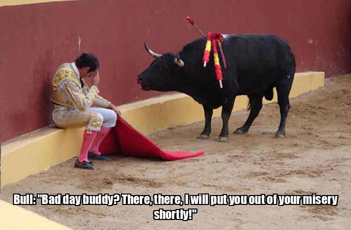 Funny Pictures With Captions Bull Yelling At Sad Bullfighter